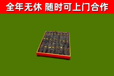 鼎城区回收海参